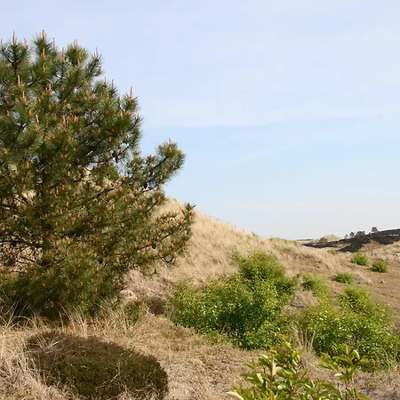 Penthouse Belle Vue 滨海贝亨