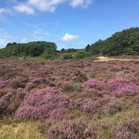 Penthouse Belle Vue 滨海贝亨