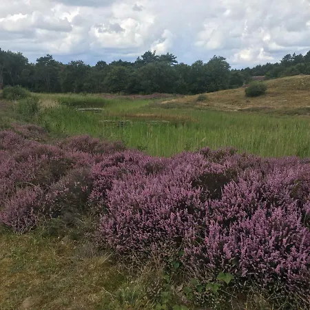 Penthouse Belle Vue 公寓 *